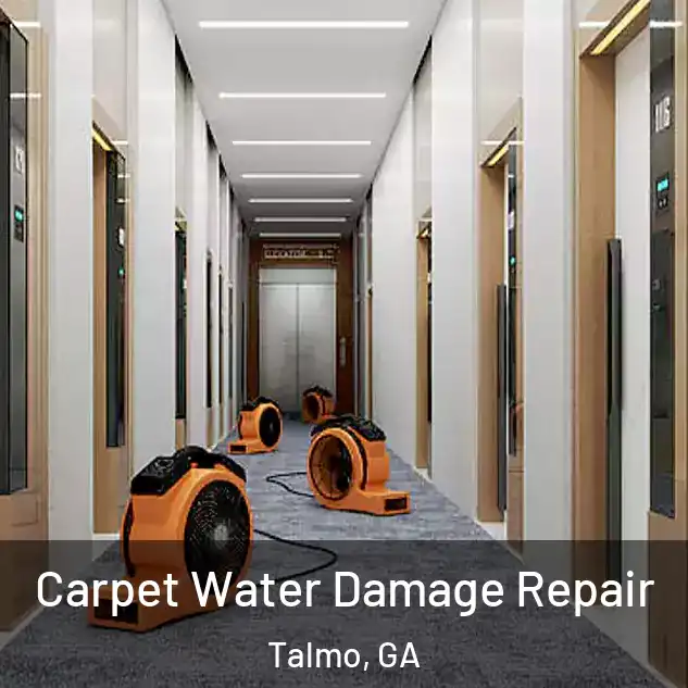  Carpet Water Damage Repair Talmo, GA