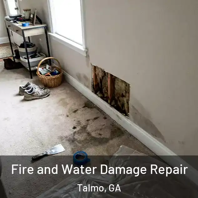  Fire and Water Damage Repair Talmo, GA