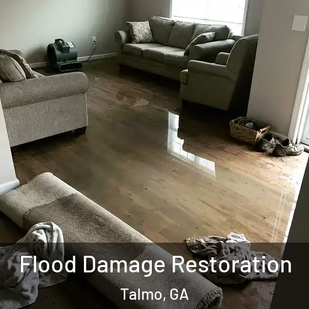  Flood Damage Restoration Talmo, GA