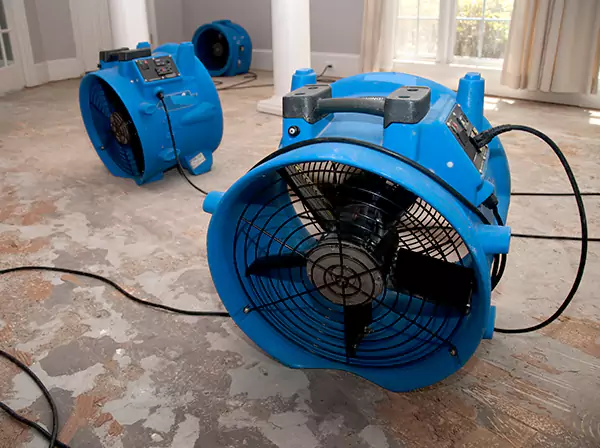 Water Damage Reconstruction in Talmo