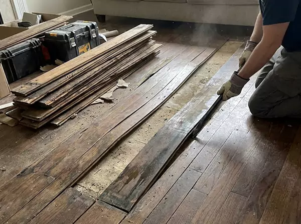 Water Damage Drying in Talmo