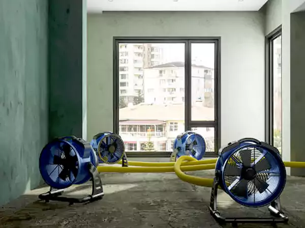 Water Removal Services in Talmo