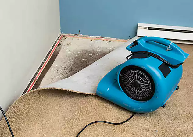 Your Water Damage Experts in Talmo, GA