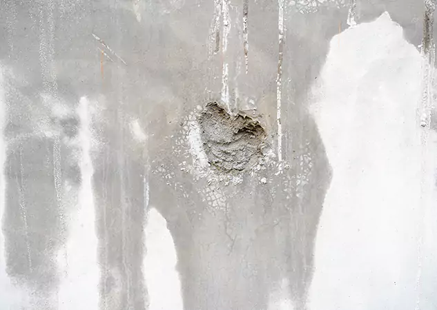 Your Mold Mitigation Solutions Partner in Talmo, GA
