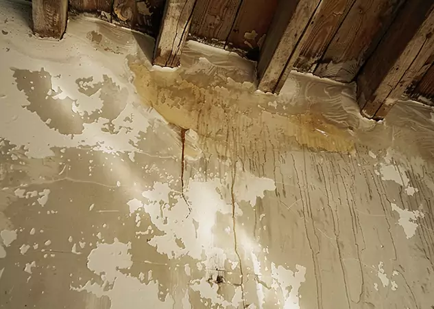 Your Trusted Restoration Company in Talmo, GA