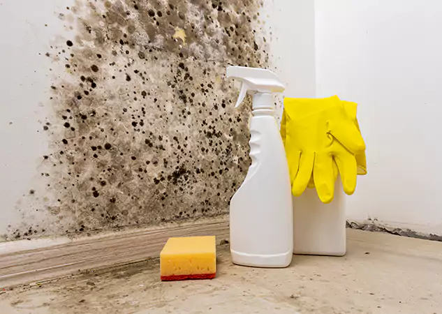 Your Reliable Restoration Company in Talmo, GA
