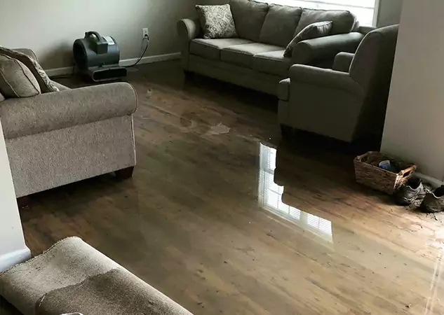 Your Trusted Restoration Company in Talmo, GA