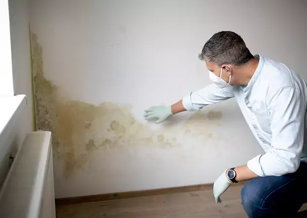 Reach Our Remediation Team Before Damage Grows in Talmo, GA!