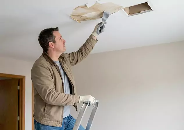 Your Ceiling Damage Repair Experts in Talmo, GA