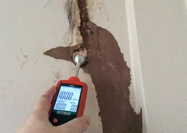 Your Water Damage Assessment Partner in Talmo, GA