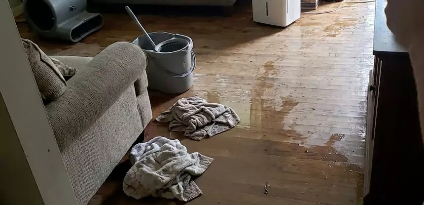 Professional Basement Water Remediation Services in Talmo, GA