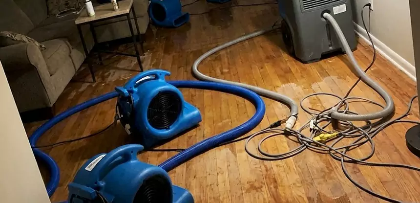Basement Flood Restoration Services in Talmo
