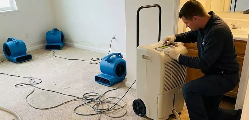 Water Damage Restoration in Talmo