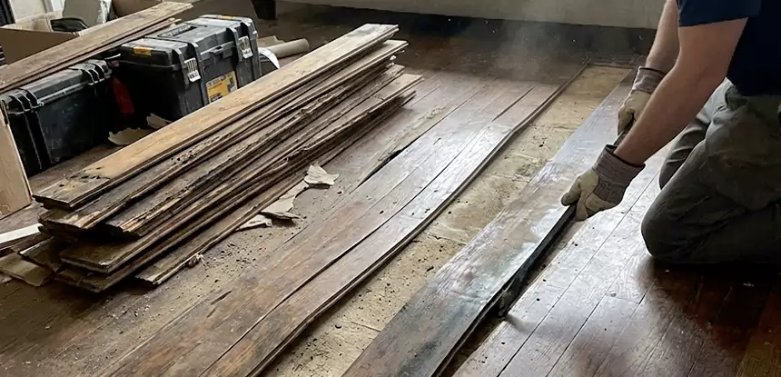 Wood Rot and Fungus Repair in Talmo