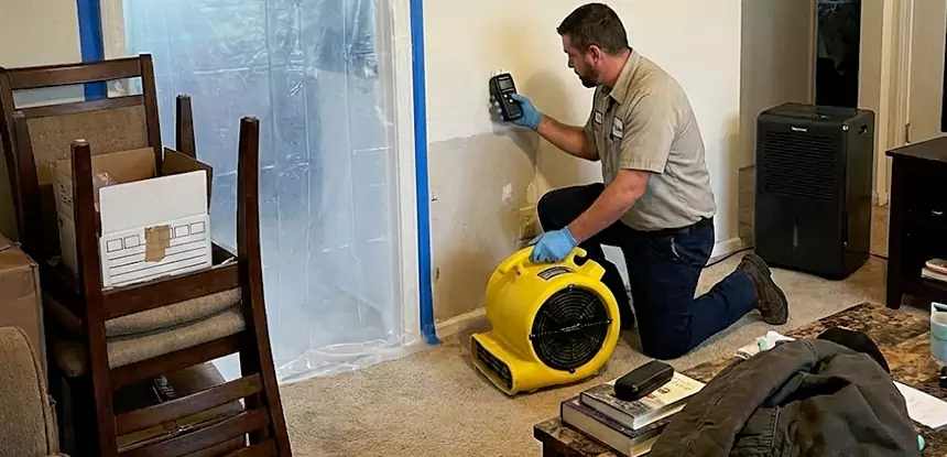Carpet Water Damage Repair Talmo