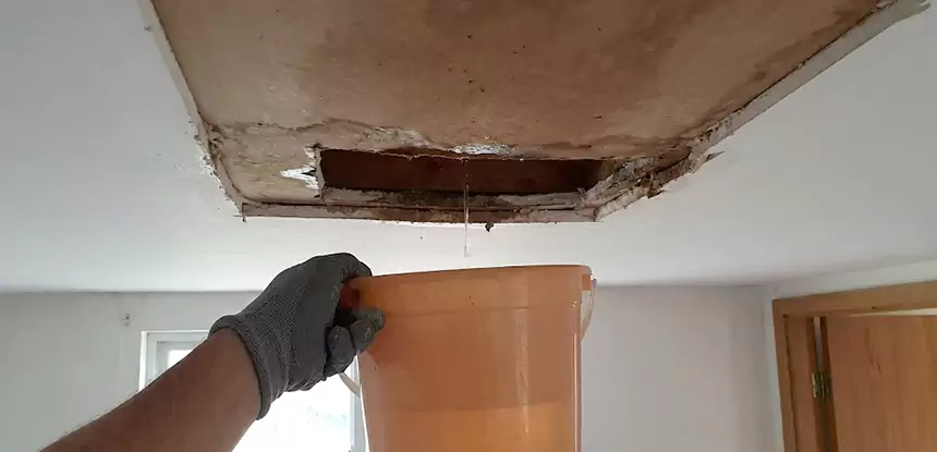 Ceiling Mold Repair Talmo