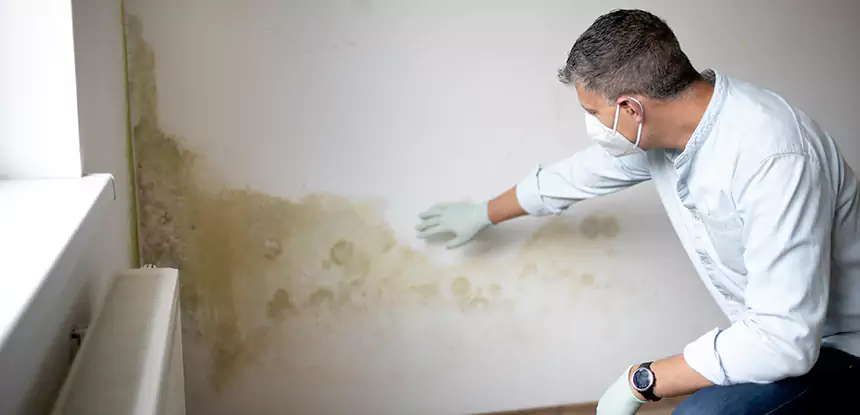 Mold and Water Damage Repair in Talmo