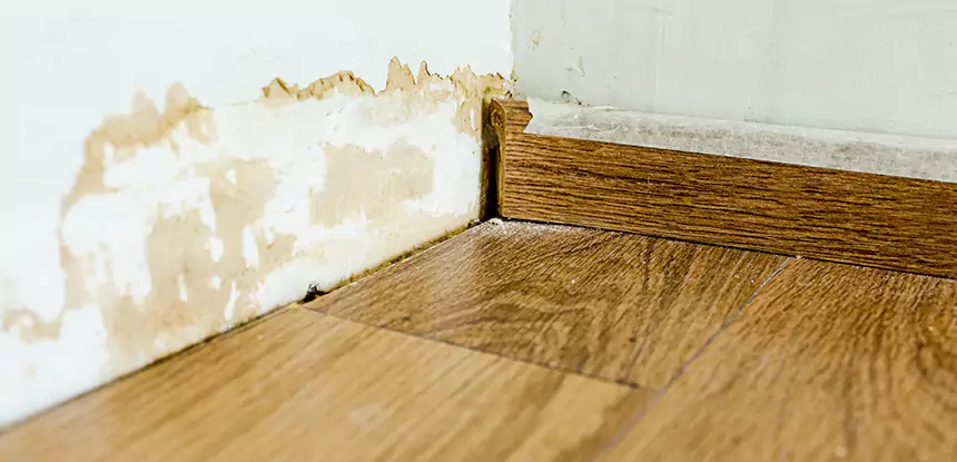 Professional Fix Water Damaged Wood Services in Talmo, GA