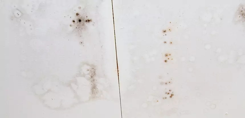 Professional Water Stain Repair Services in Talmo, GA