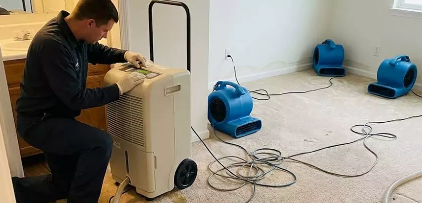 Professional Wet Carpet Removal Services in Talmo, GA