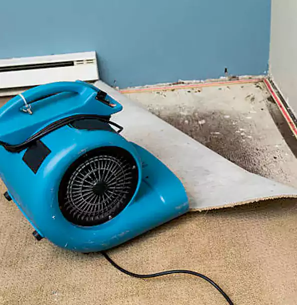 Why Talmo Trusts Talmo Restoration Pro for Carpet Flood Recovery?