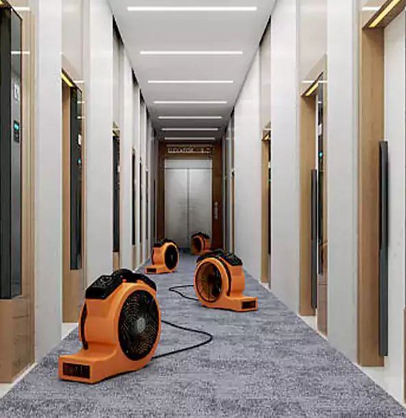 Why Talmo Trusts Talmo Restoration Pro?