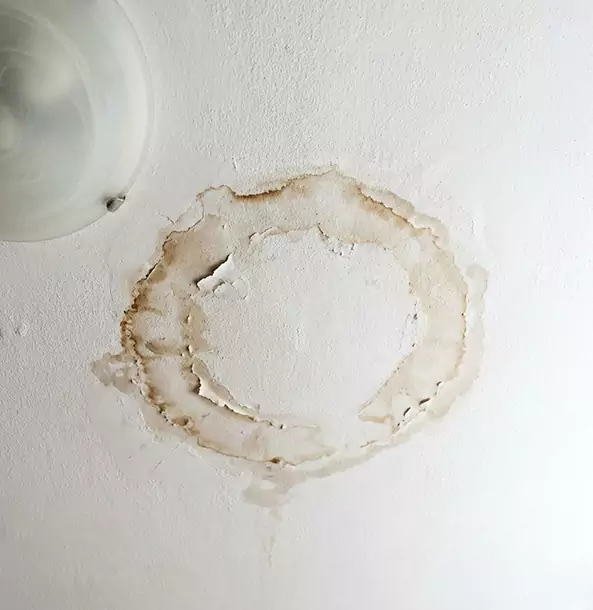 Why Talmo Property Owners Choose Talmo Restoration Pro for Ceiling Water Damage Restoration?