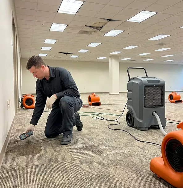 Why Talmo Businesses Choose Talmo Restoration Pro for Water Cleanup?