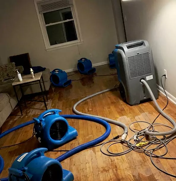 Why Talmo Calls Talmo Restoration Pro First for Emergency Restoration?