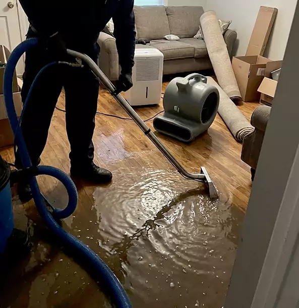 Why Talmo Trusts Talmo Restoration Pro for Flood Cleanup?