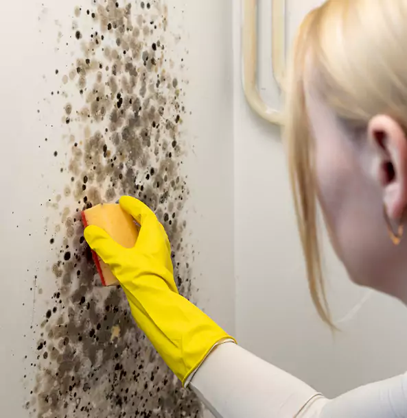 Why Talmo Restoration Pro Leads Mold Remediation in Talmo?