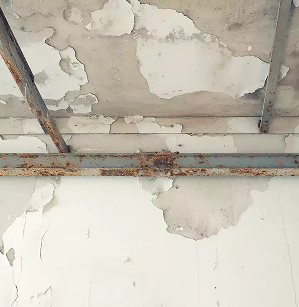 Why Talmo Restoration Pro Is the Right Choice in Talmo, GA?