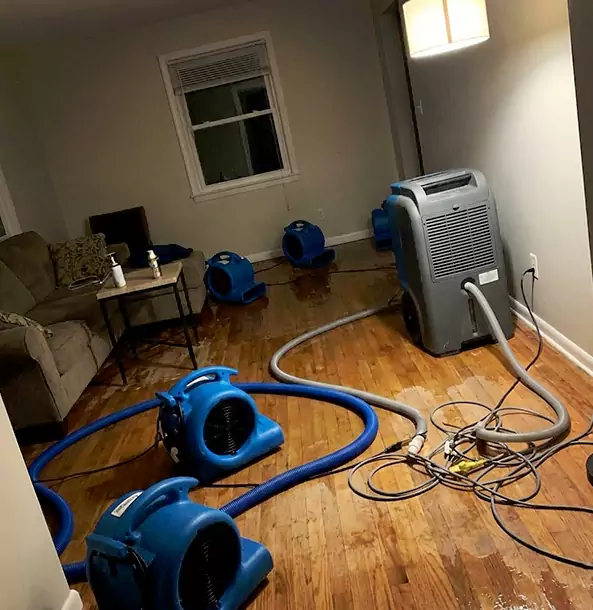 Why Talmo Property Owners Rely on Talmo Restoration Pro for Remediation?