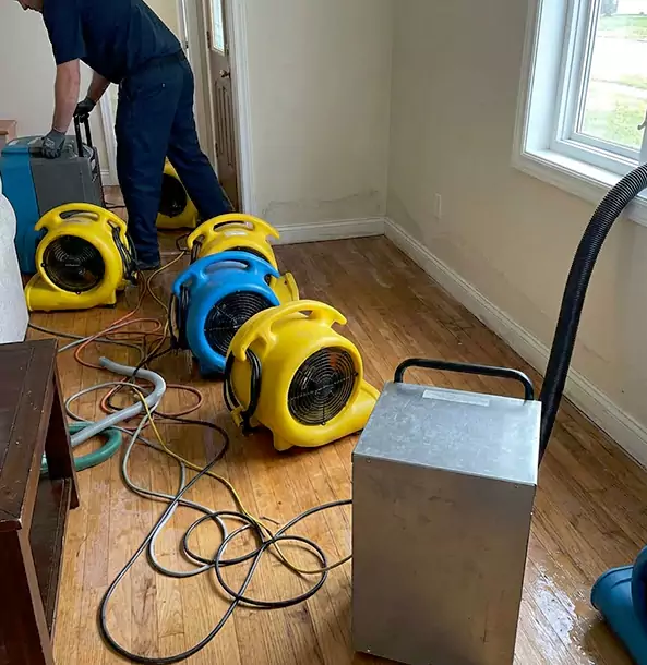 Why Talmo Property Owners Choose Talmo Restoration Pro for Remediation?