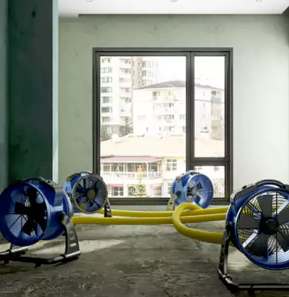 Why Talmo Property Owners Trust Talmo Restoration Pro for Water Damage Drying?