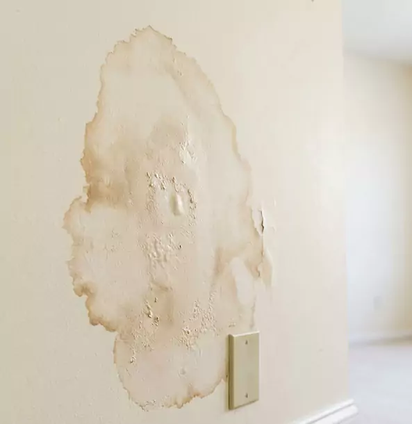 Why Talmo Homeowners Trust Talmo Restoration Pro for Drywall Restoration?