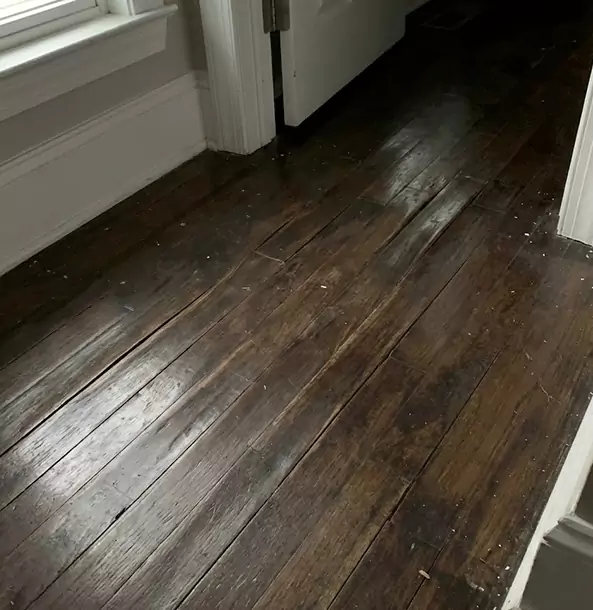 Why Talmo Homeowners Trust Talmo Restoration Pro to Fix Water Damaged Wood?