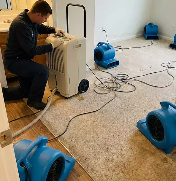Why Talmo Homeowners and Businesses Trust Talmo Restoration Pro for Carpet Drying?