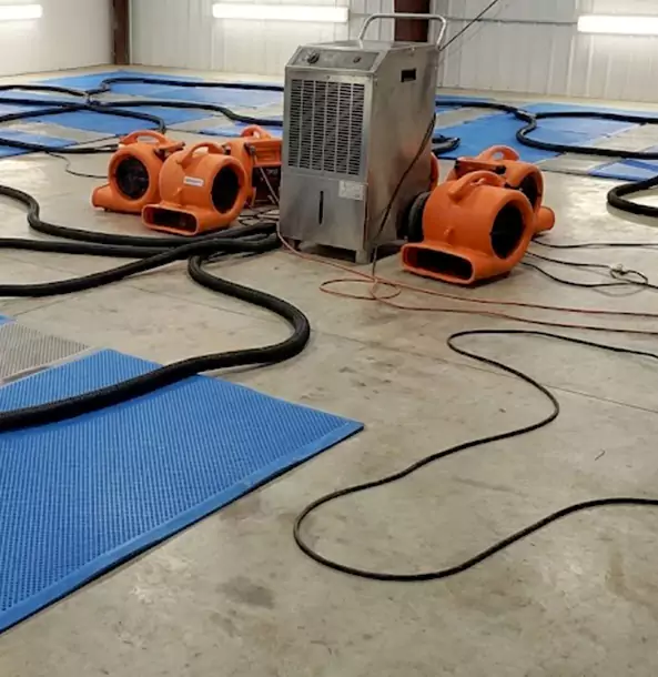 Why Talmo Homeowners and Businesses Choose Talmo Restoration Pro for Wet Carpet Removal?