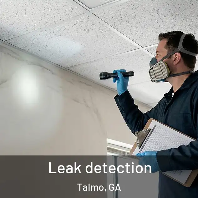  Leak detection Talmo, GA