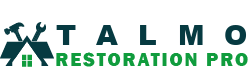 Talmo Restoration Pro