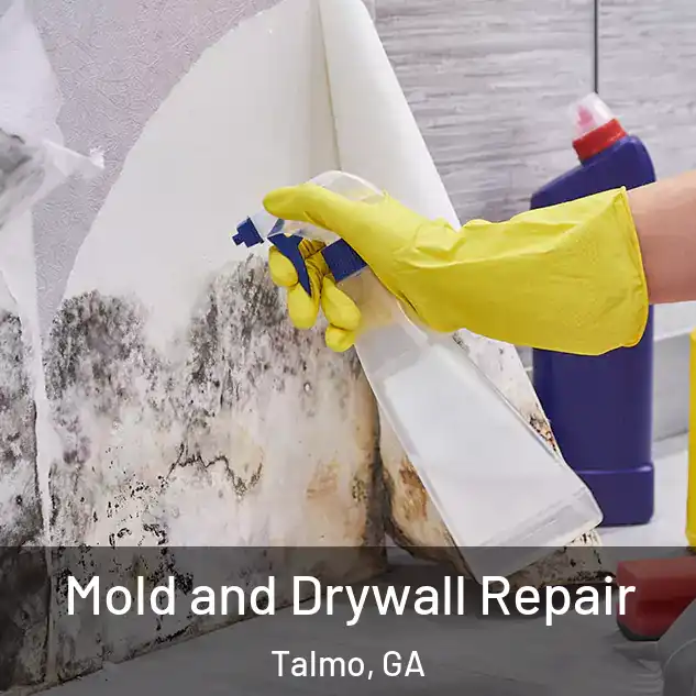  Mold and Drywall Repair Talmo, GA