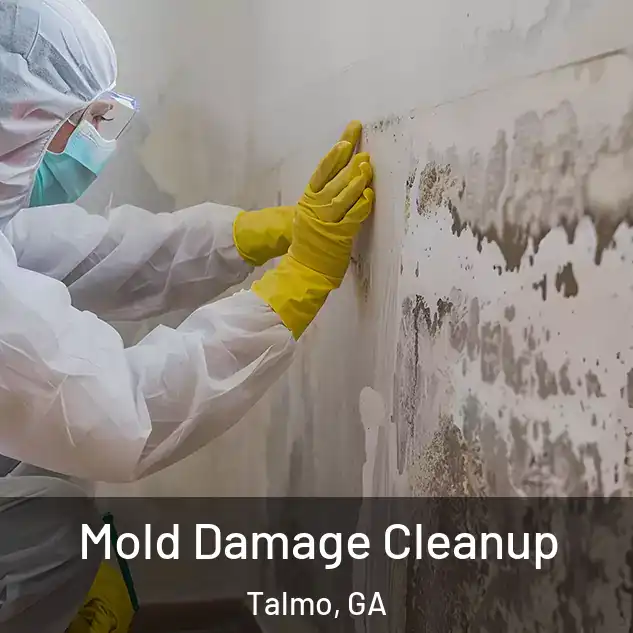  Mold Damage Cleanup Talmo, GA