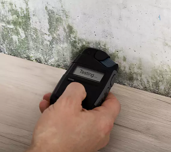 Mold Remediation Service Talmo