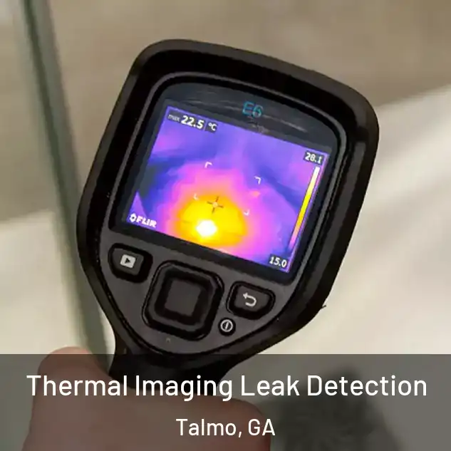  Thermal Imaging Leak Detection Talmo, GA