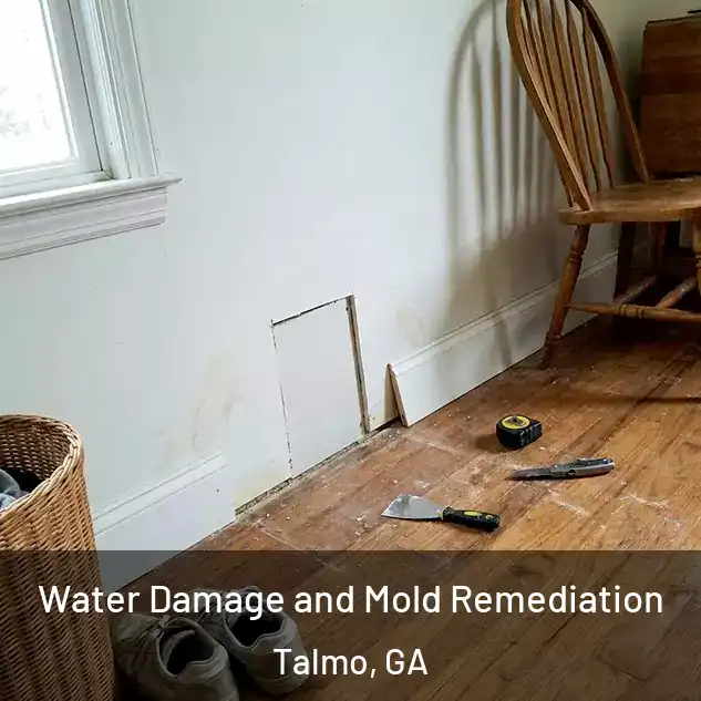  Water Damage and Mold Remediation Talmo, GA
