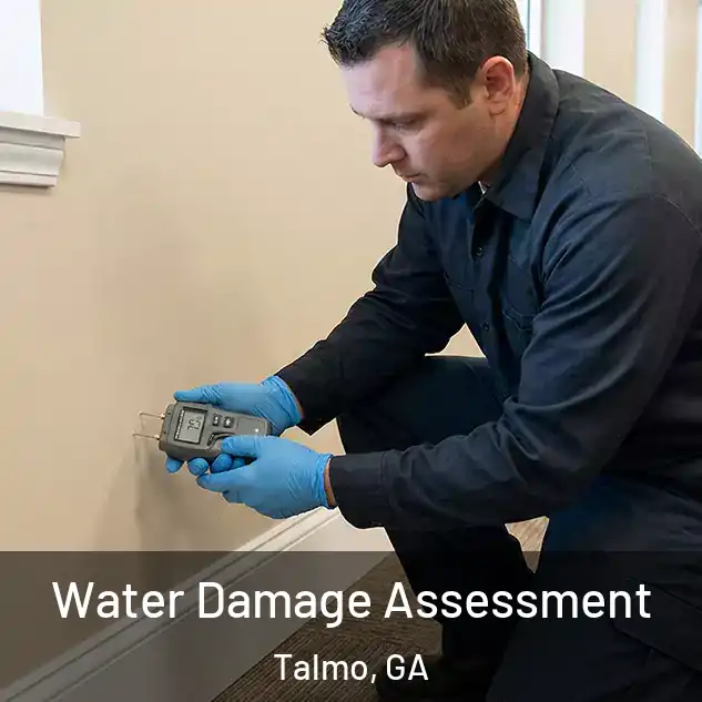  Water Damage Assessment Talmo, GA