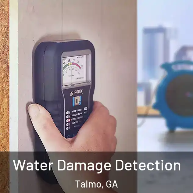 Water Damage Detection Talmo, GA
