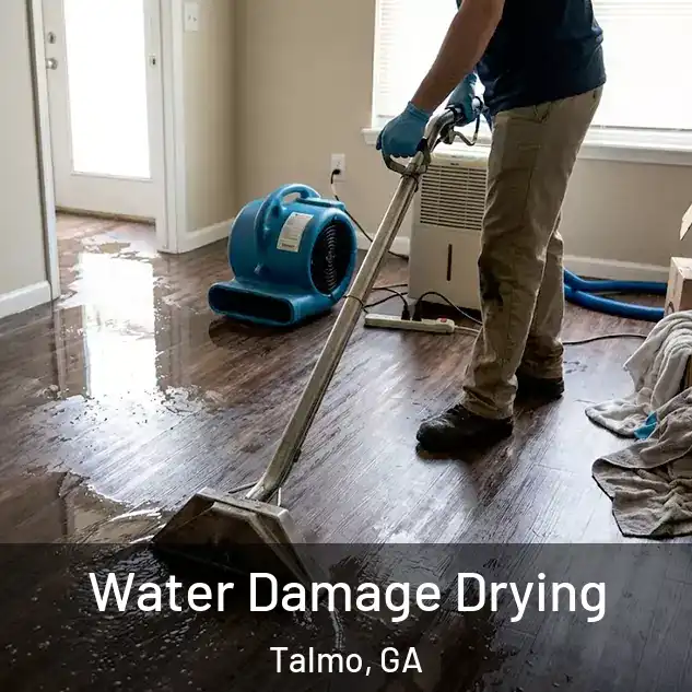  Water Damage Drying Talmo, GA