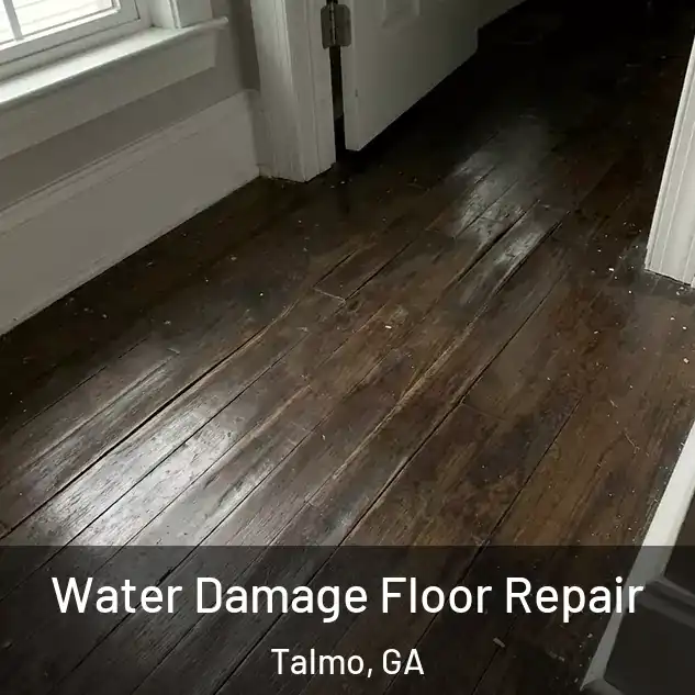  Water Damage Floor Repair Talmo, GA